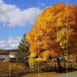 Природа природа, фото, векторные рисунки, высокое разрешение, фотографии живой природы